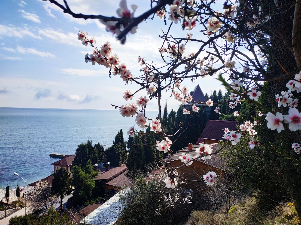 Отдых в Алуште весной фото 
