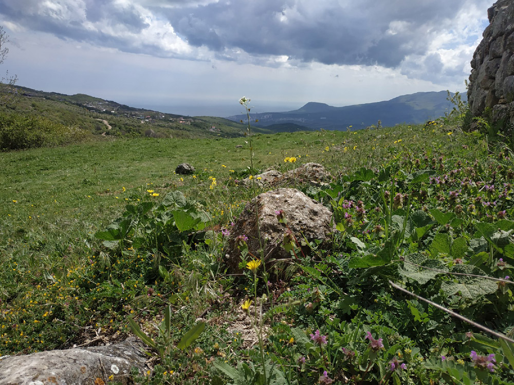 отели в алуште на южном берегу крыма фото 